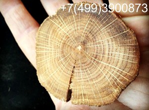 Спил дуба нешлифованный 4-10 см