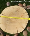 Спил дуба шлифованный 31-40 см